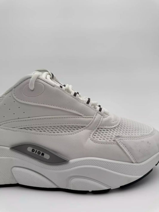Dior B22