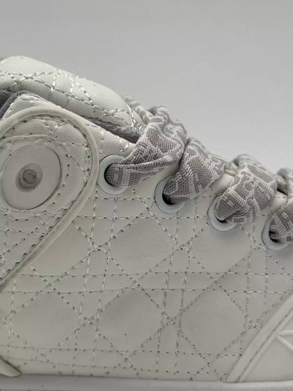 Dior B9S ERL "white"