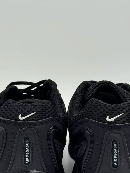 Nike Air Pegasus 2005 "BXW"
