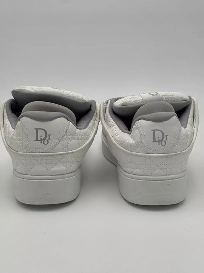Dior B9S ERL "white"
