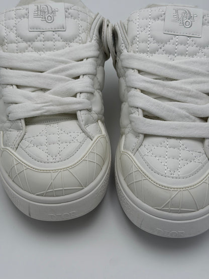 Dior B9S Skater ERL "white"