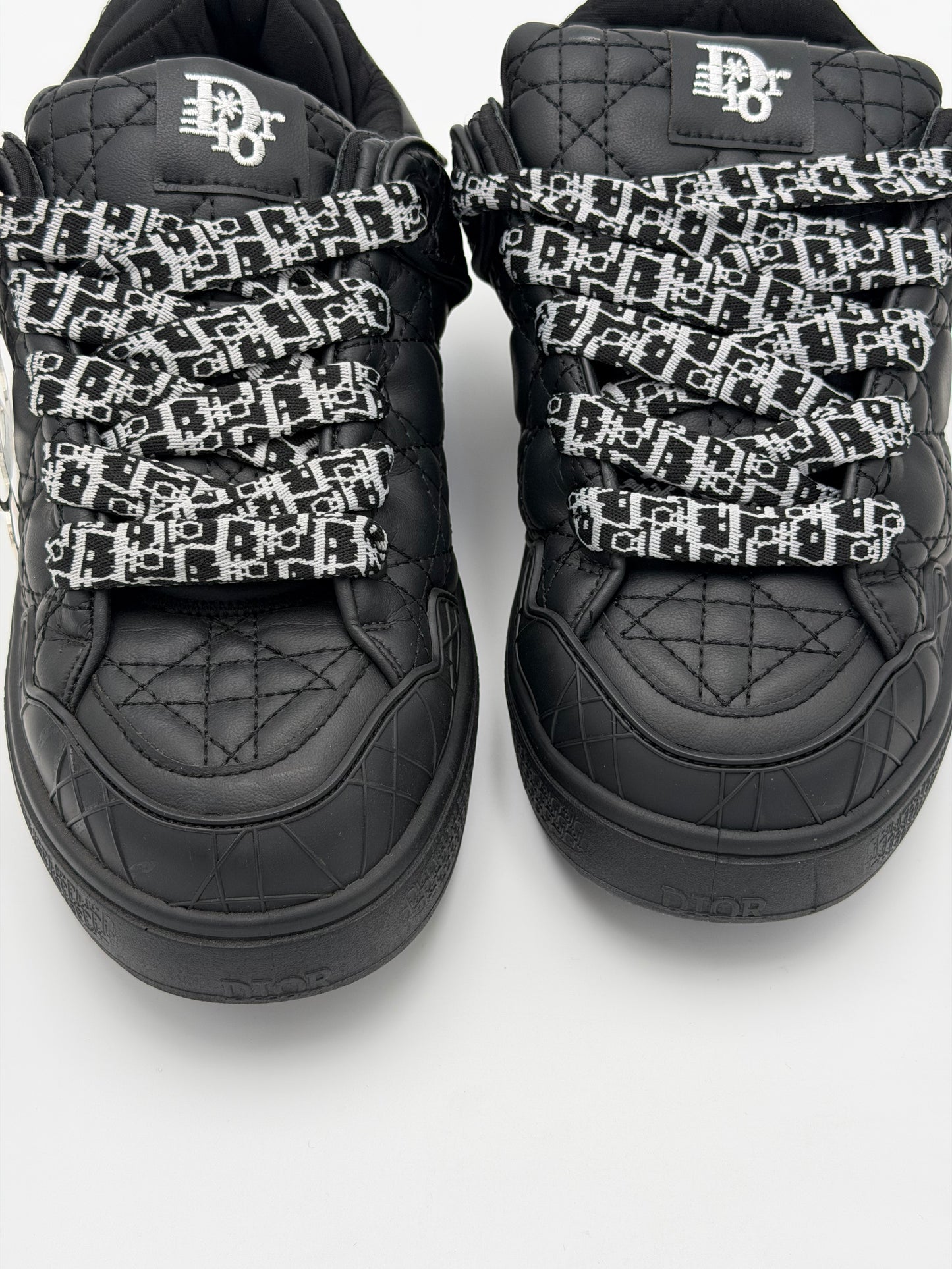 Dior B9S Skater ERL "black"